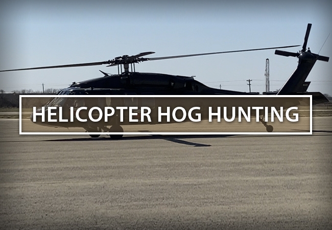 Helicopter Hog Hunts