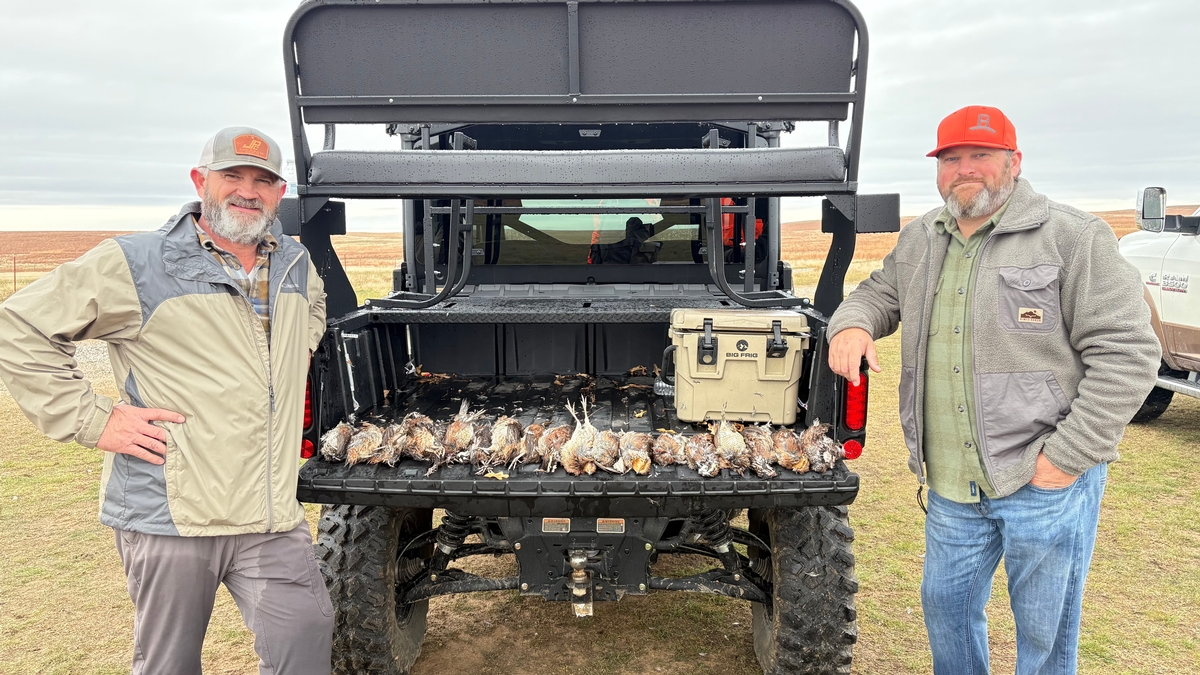 upland bird hunting